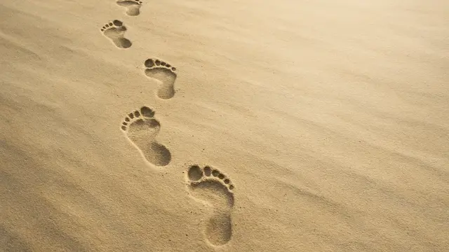 featured image. Footprints in the Sand or Snow A subtle nod to faith journeys and those who walked unfamiliar paths, like Ruth or Paul.