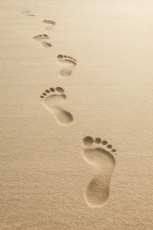 Footprints in the Sand or Snow A subtle nod to faith journeys and those who walked unfamiliar paths, like Ruth or Paul.